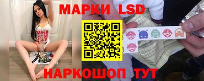 крисы Гатчина