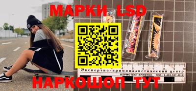 крисы Гатчина