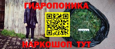 винт Гагарин