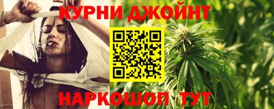 крисы Гатчина