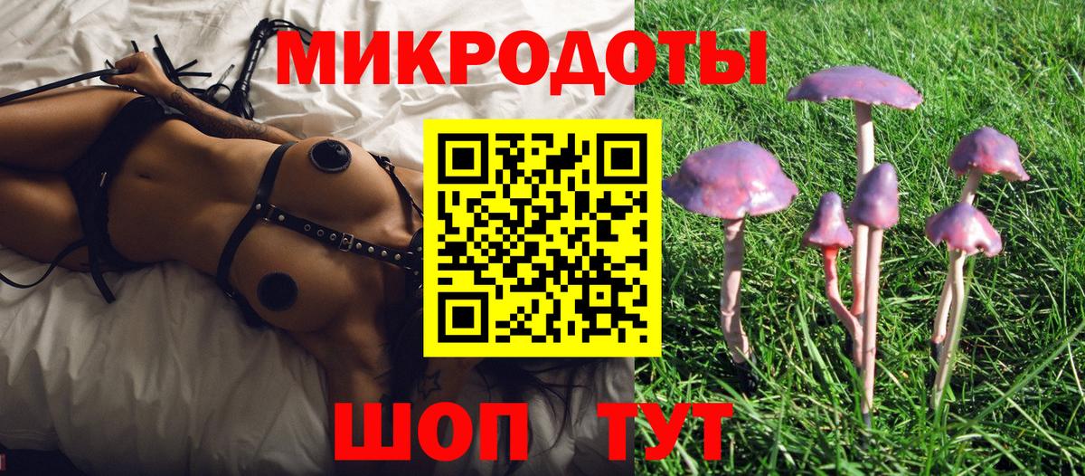 Псилоцибиновые грибы прущие грибы  где найти   Псилоцибиновые грибы Cubensis  Новозыбков  Вход с VPN 
