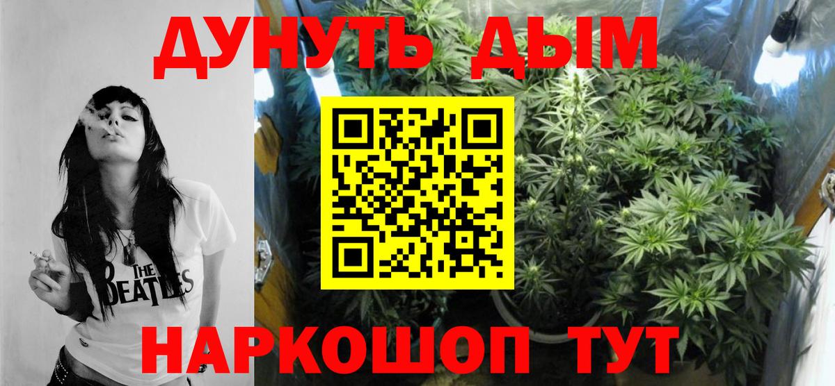 Каннабис семена Новозыбков